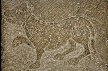 Grabado del perro guardián del castillo, Huesca