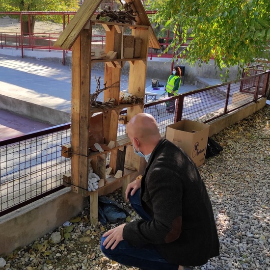 Hotel de insectos 11