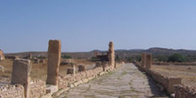 Calle, Ruinas romanas de Sbeitla, Túnez