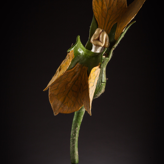 IES_ISABELLACATOLICA_BIOLOGIA_051