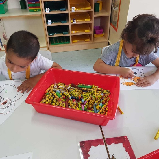 2018_10_25_Los buhos de 3 años perfectamente adaptados 9