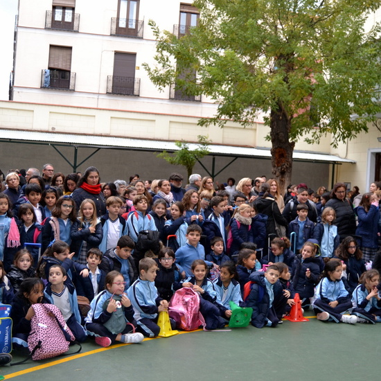 DÍA INTERNACIONAL CONTRA LA VIOLENCIA DE GÉNERO 11