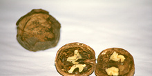 Nueces abiertas