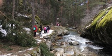 4ºC de Senderismo en la Boca del Asno_CEIP FDLR_Las Rozas 8