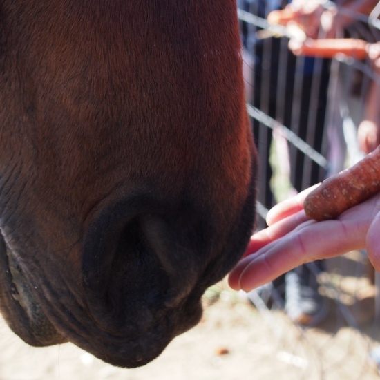 SALIDA A NUESTRO ENTORNO 26