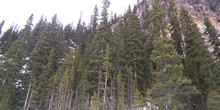 Montaña, Lago Louise, Parque Nacional Banff