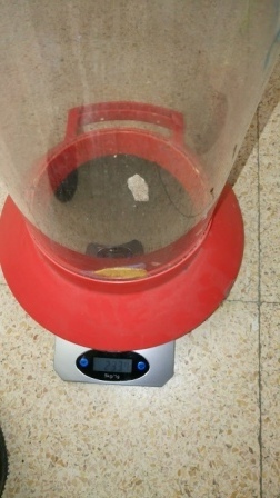 Litter Less Campaign_Reciclando pilas   2