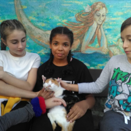 NOCHE MÁGICA 2019 (1ª parte) 32