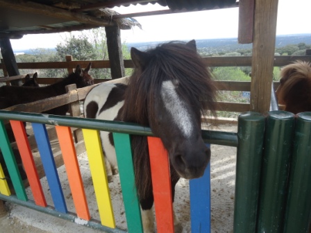 2017_03_LOS PULPOS Y LA GRANJA ESCUELA 5
