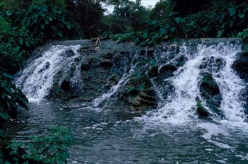 Corriente de un río