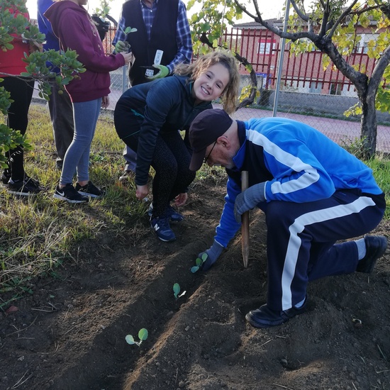 Huerto escolar 2019/20 3