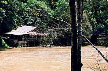 Casas construidas a orillas de río, Laos