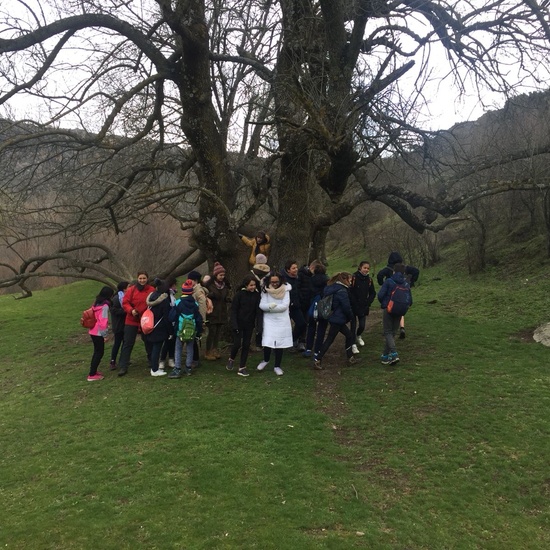 Jornadas Culturales 2018 Senderismo 1º ESO 14