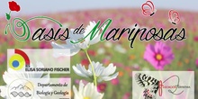 Oasis de mariposas 2024-25 - IES Elisa Soriano Fischer