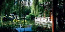 Jardín Chino