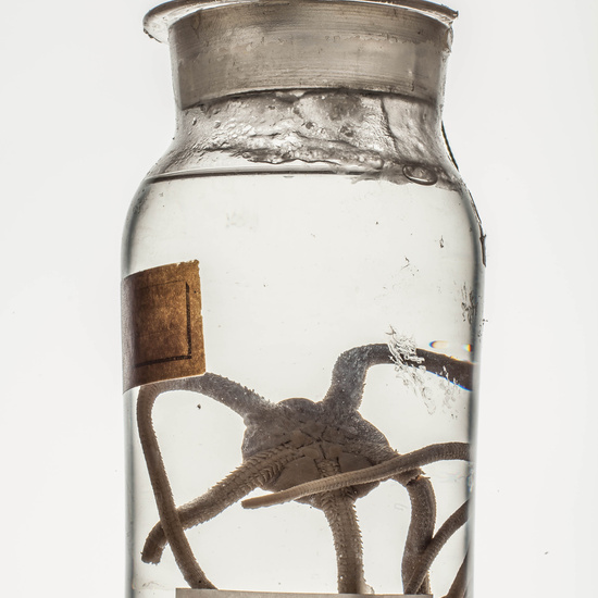 IES_CARDENALCISNEROS_CIENCIASNATURALES_021