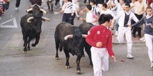Detalle toros en encierro de San Sebastián de los Reyes