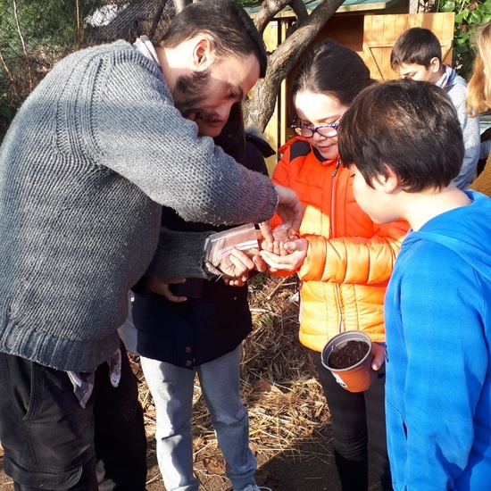 El huerto en febrero_CEIP FDLR_Las Rozas 3