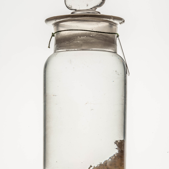 IES_CARDENALCISNEROS_CIENCIASNATURALES_049