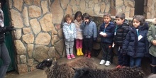 Granja Infantil 4 años - Enero 2020 3