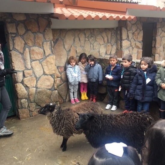 Granja Infantil 4 años - Enero 2020 3