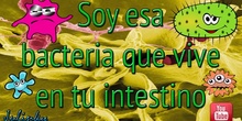 Canción bacteria