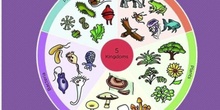 PRIMARIA - 5º - NATURAL SCIENCE - THE FIVE KINGDOMS - FORMACIÓN