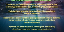 Instrucciones proyecto