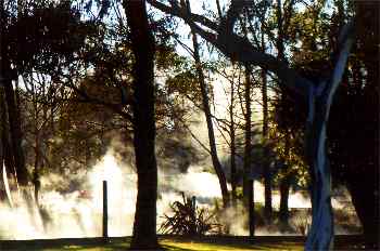 Actividad geotérmica en un parque de Rotorua, Nueva Zelanda