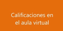 Calificaciones, aula virtual