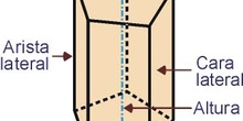 El prisma y sus elementos
