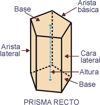 El prisma y sus elementos