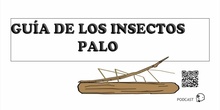 GUÍA DE INSECTOS PALO TRIBUS DE 5 AÑOS EL BOALIN