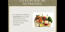 6º naturales la función de nutrición, los nutrientes