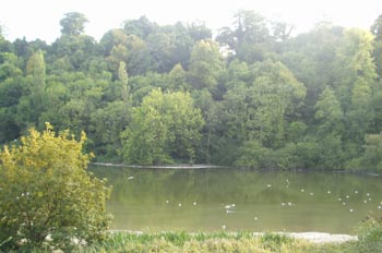 Río Arun, Inglaterra