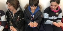 2020_02_27_3º visita Insectpark (3)_CEIP FDLR_Las Rozas 11