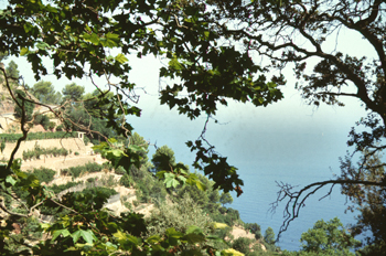 Paisaje de montaña junto al mar
