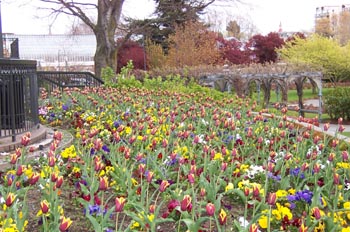 Jardines del Hotel The Empress, Victoria