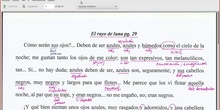 Tarea 8a Análisis de un texto descriptivo "El rayo de Luna"