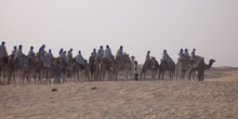 Paseo en camello, Douz, Túnez