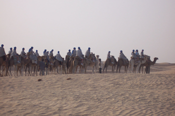 Paseo en camello, Douz, Túnez