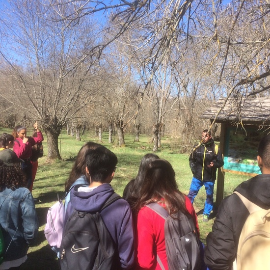 TALLER BIODIVERSIDAD PINILLA DEL VALLE 2