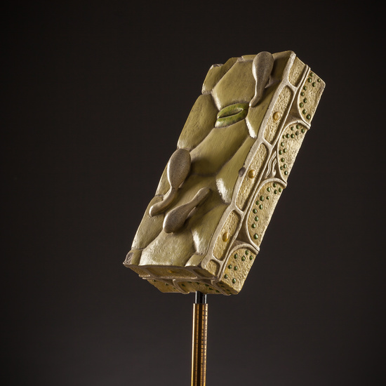 IES_SANISIDRO_BIOLOGIA_236