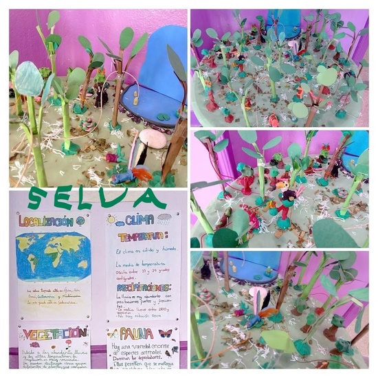 ECOSISTEMAS 5º CURSO 25