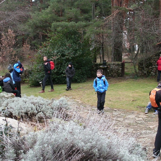 6º CERCEDILLA 2019 27