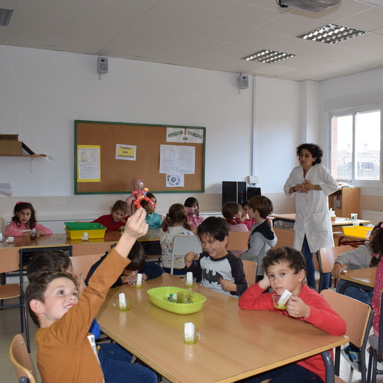 Taller de ciencias con padres 6