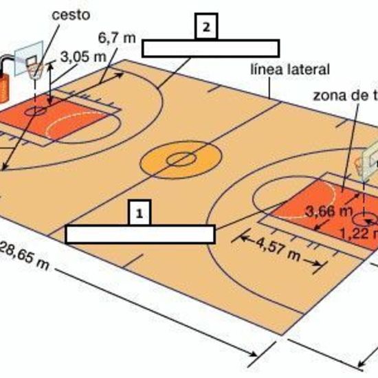 Campo de baloncesto. ejercicio