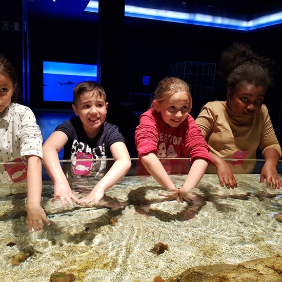 Fotos Aquarium Xanadú 3ºB 10