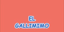 GALLIMIMO