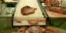 Cinta transportadora de carne